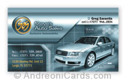 Steve's Auto Sales Business card sample