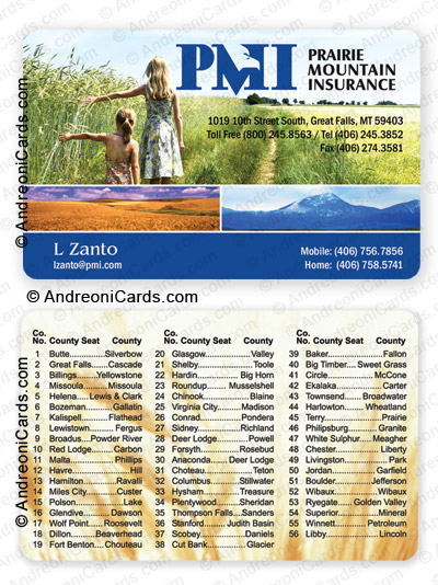 Plastic directory card