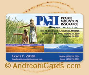 PMI plastic directory card